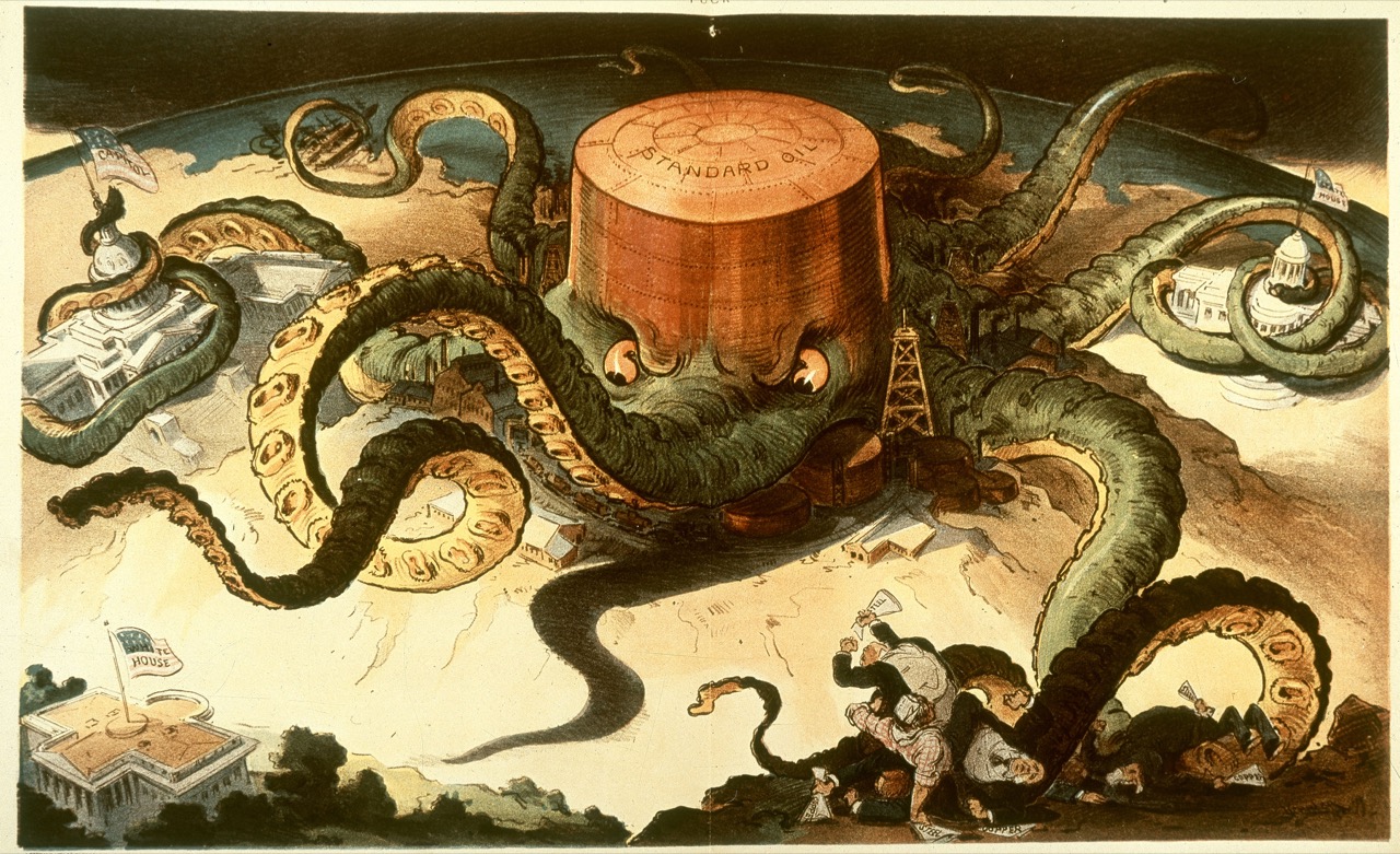 octopus