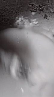oobleck effect